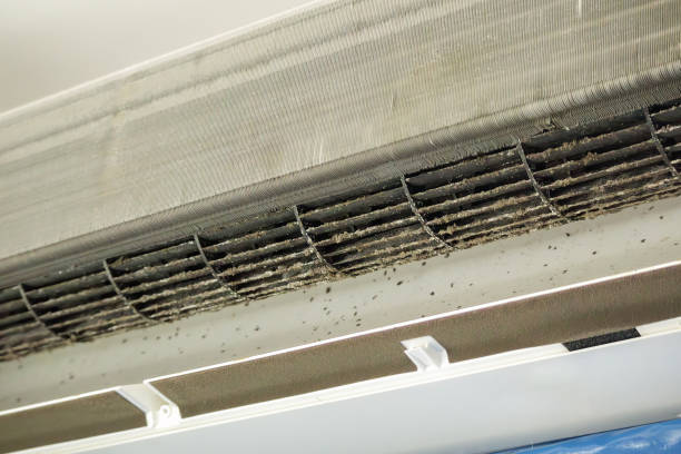 Best Air Duct Cleaning Near Me  in Whiting, WI