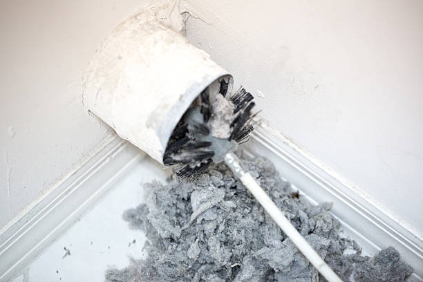 Best Air Duct Mold Removal  in Whiting, WI